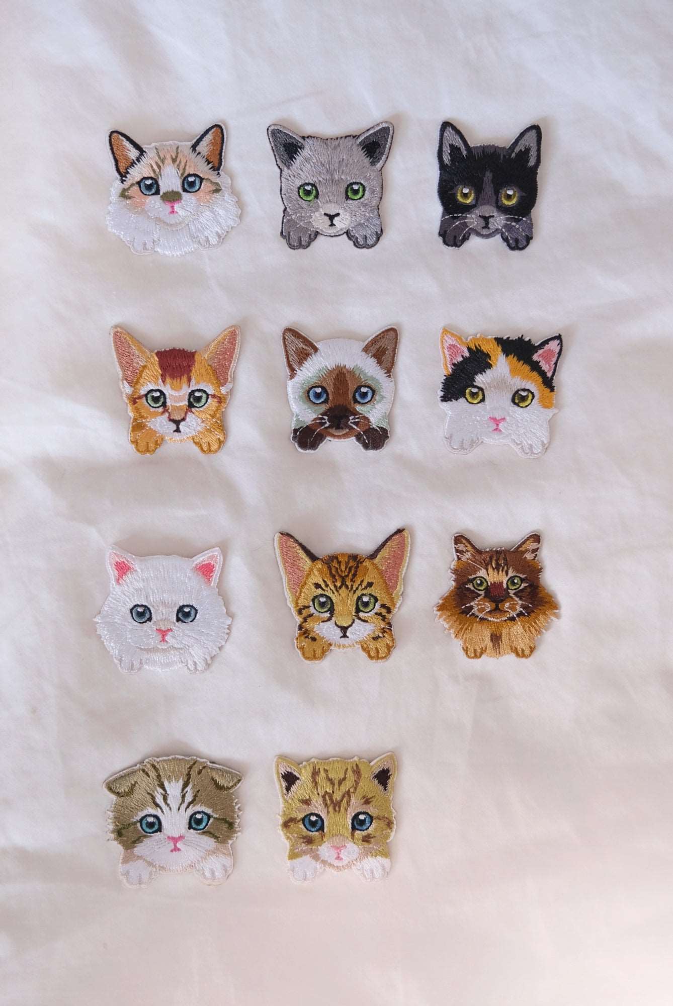 Abyssinian Kitten Iron-on Patch - Image 4