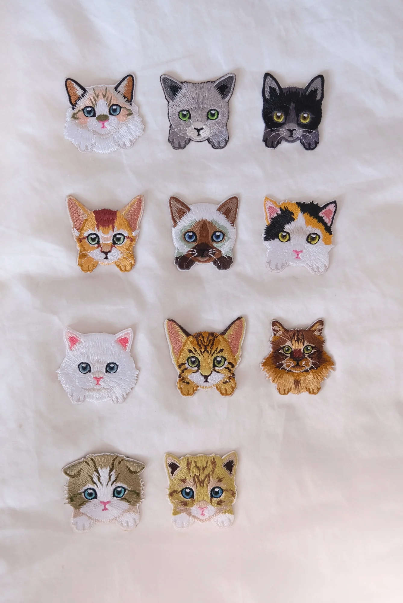 Ragdoll Kitten Iron-on Patch - Image 4